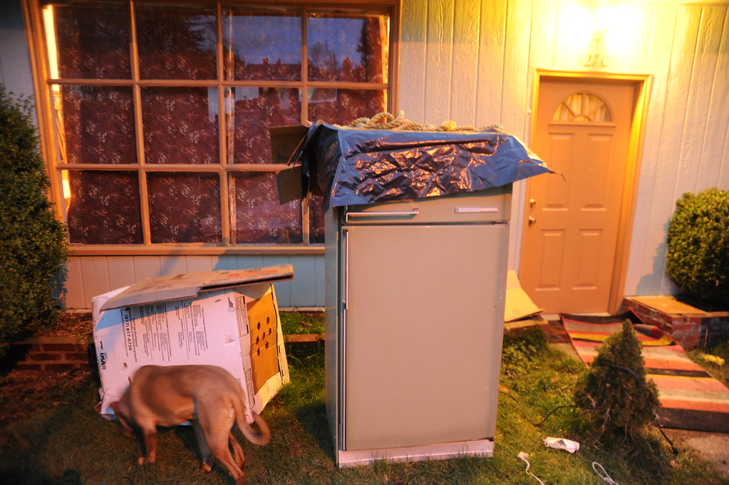 Renters versus homeowners appliance repair guide