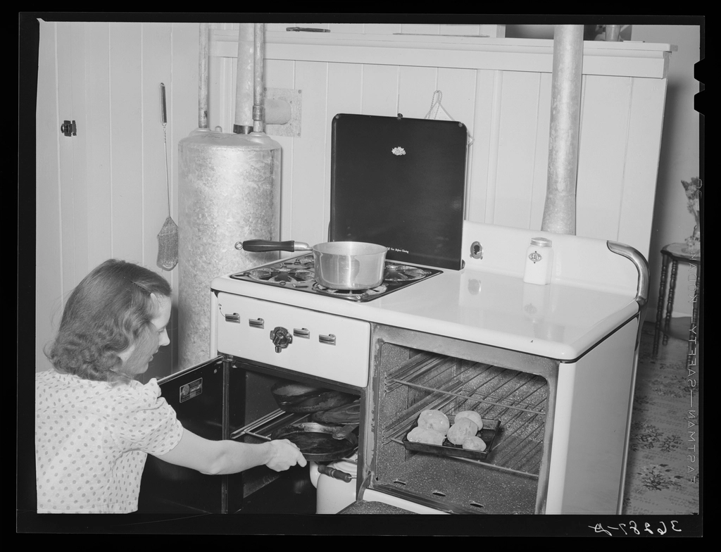 Stainless steel range and hood in a Falls Church kitchen